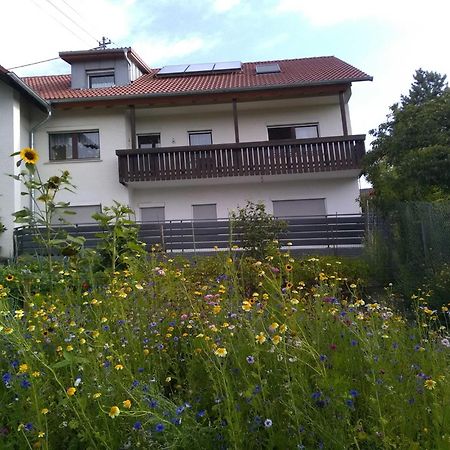 Haus Hinz Apartamento Bermatingen Exterior foto