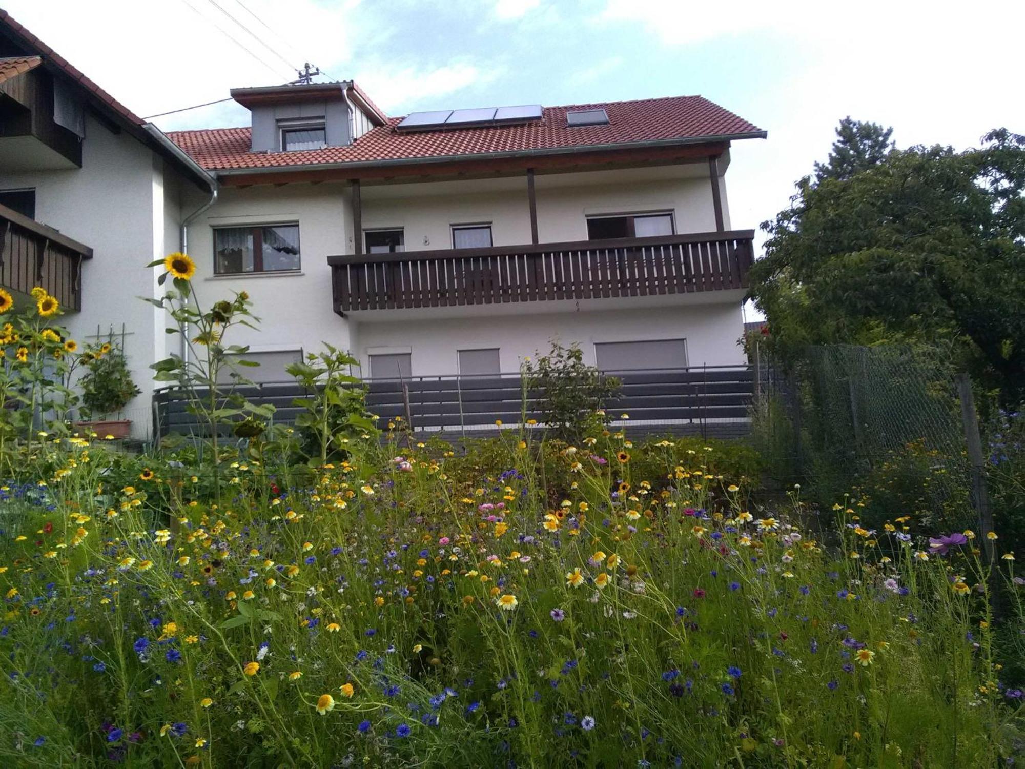 Haus Hinz Apartamento Bermatingen Exterior foto